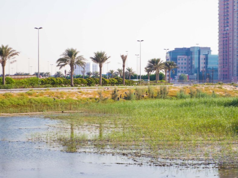 Can foreigners buy land in Dubai? LUXHABITAT